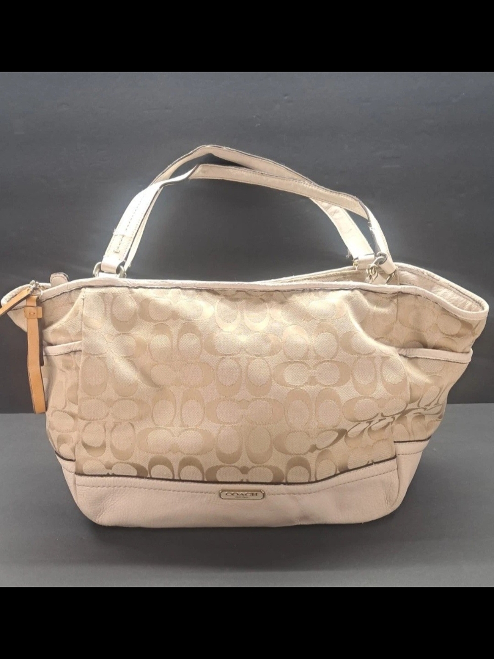 Coach Park Signature Carrie Tote Purse Handbag